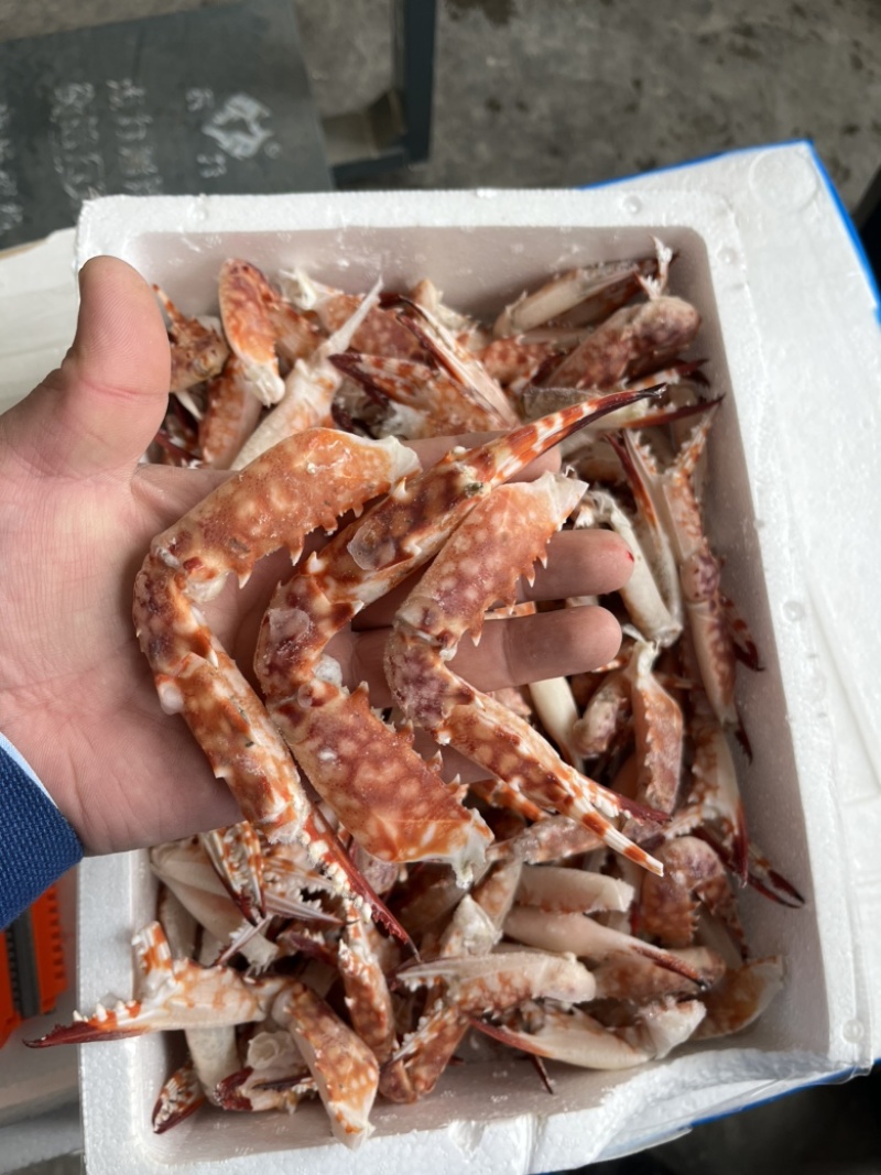 红毛蟹钳，蟹脚，红毛蟹。