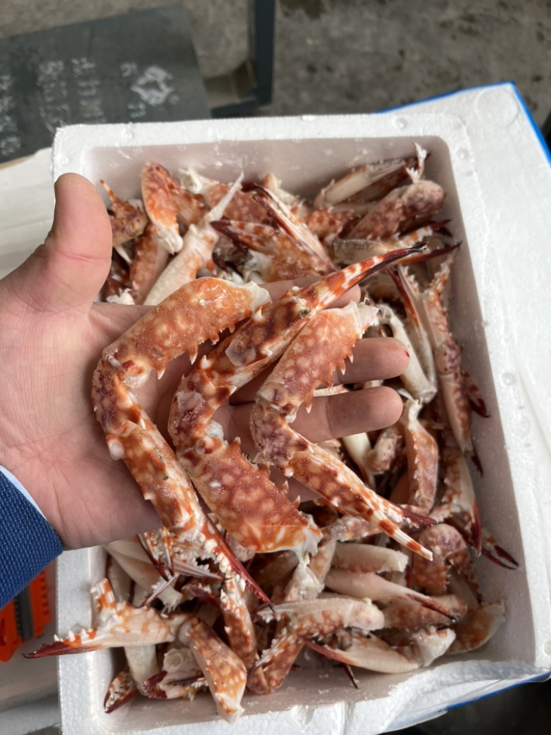 红毛蟹钳，蟹脚，红毛蟹。