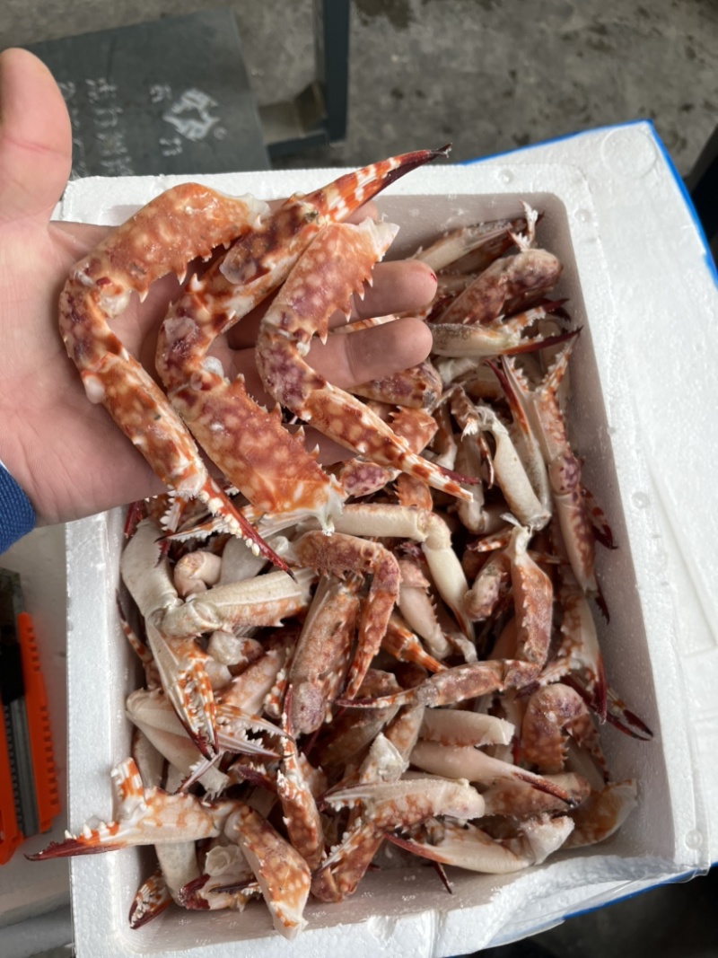 红毛蟹钳，蟹脚，红毛蟹。