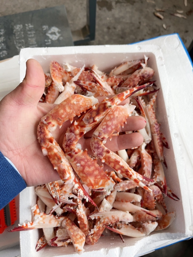 红毛蟹钳，蟹脚，红毛蟹。