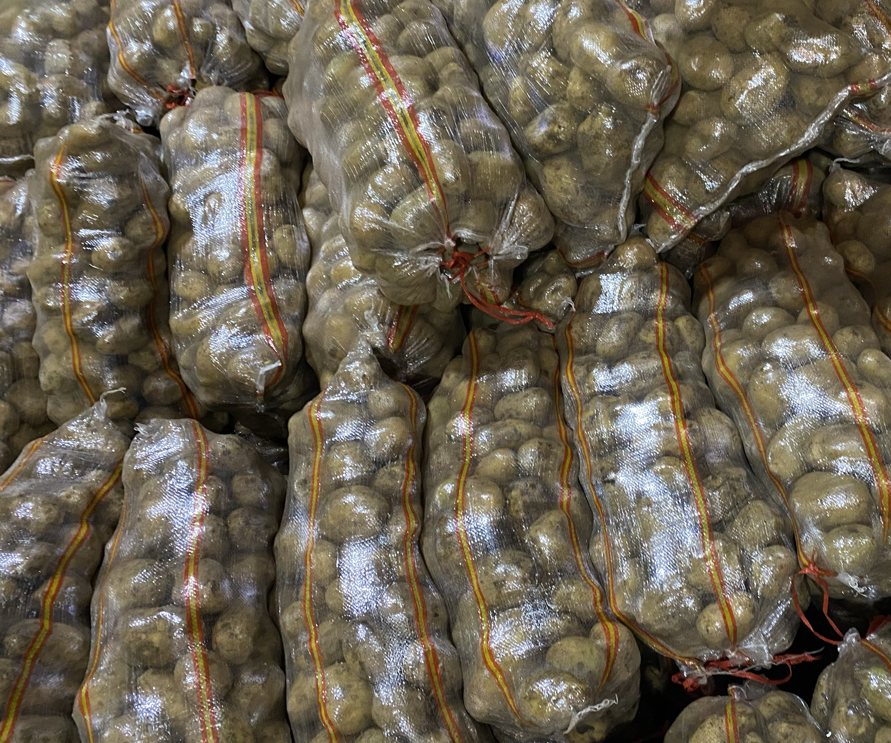 黄心西瓜在市场中陈列销售