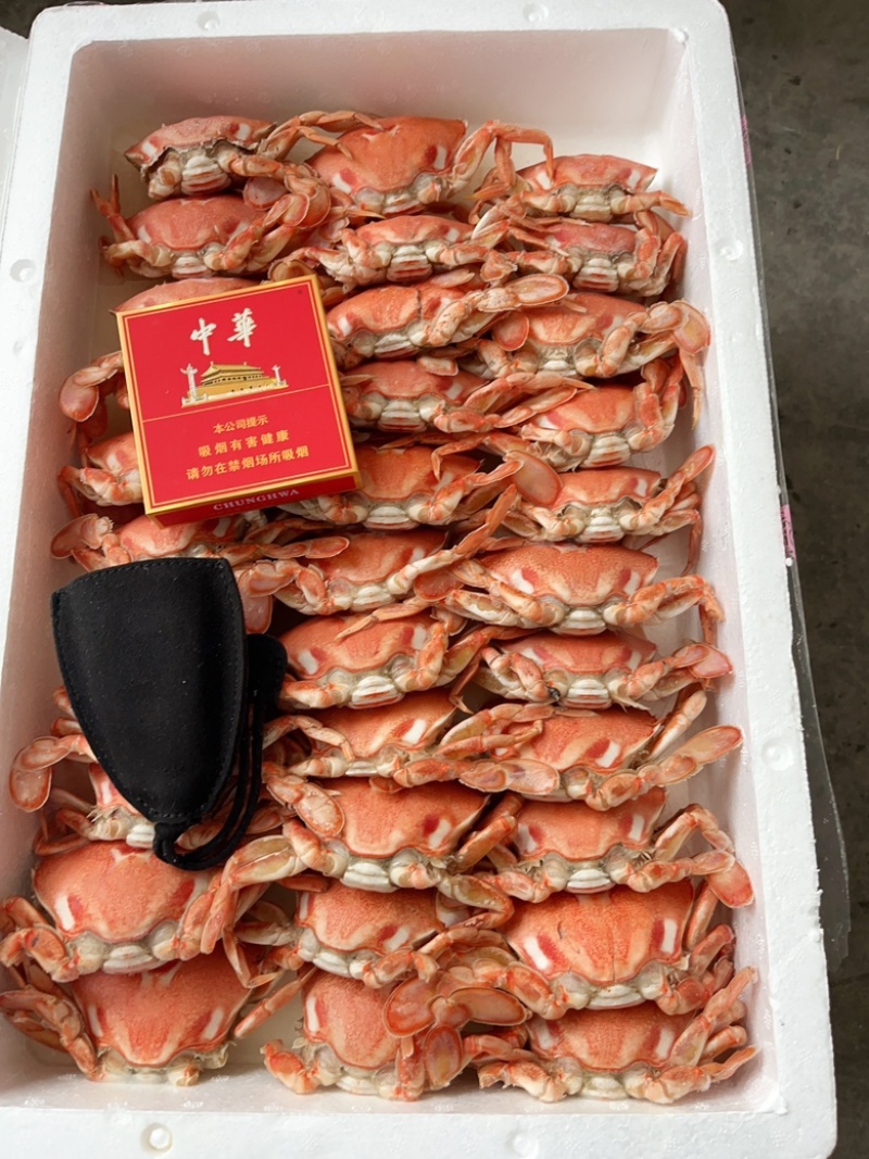 招财蟹，🈵黄。🈵肉，招财蟹