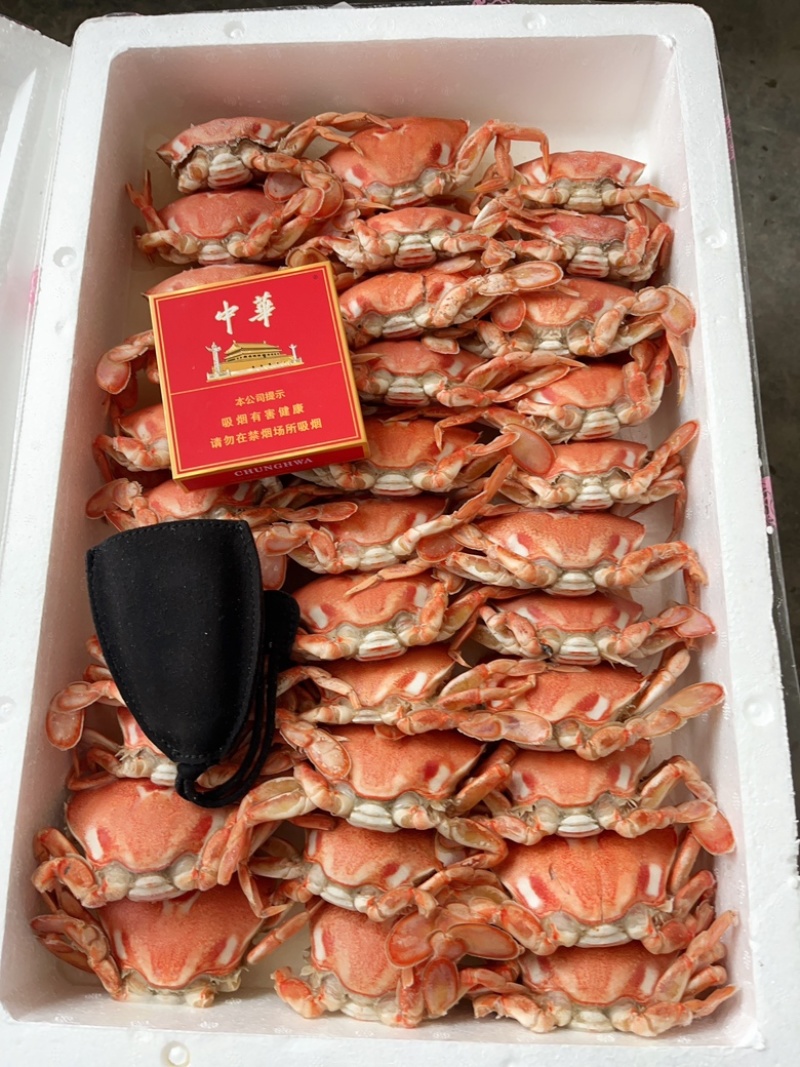 招财蟹，🈵黄。🈵肉，招财蟹
