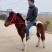 矮马德宝矮马矮脚马儿童乘骑马景区带客儿童乘骑马