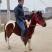 矮马德宝矮马矮脚马儿童乘骑马景区带客儿童乘骑马