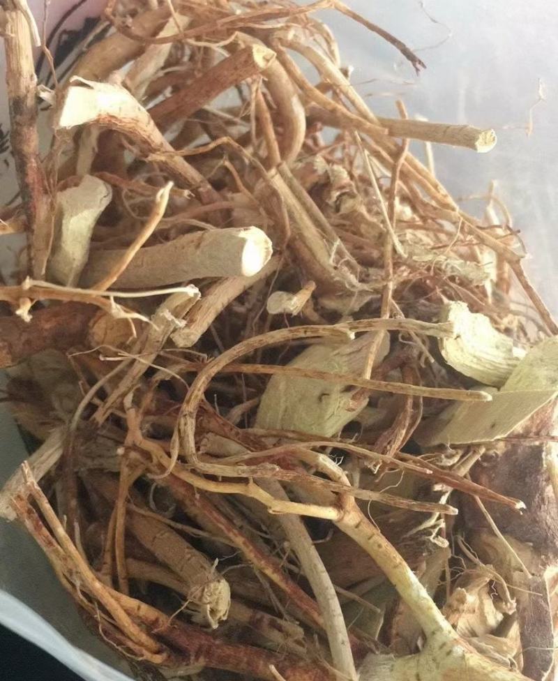 纯野生五指毛桃