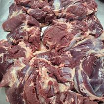 牧区天然牛肉品质保证一手货源本地牧区自家黄牛牛肉