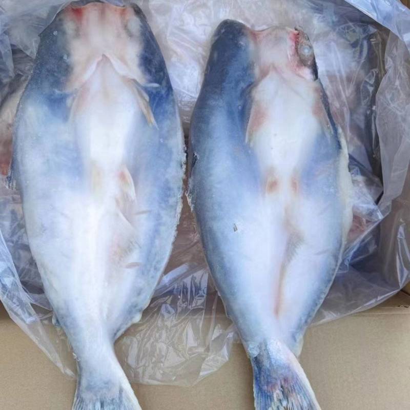 【牛商优选】开背巴沙鱼进口原条鱼一手货源对接餐厅欢迎选购
