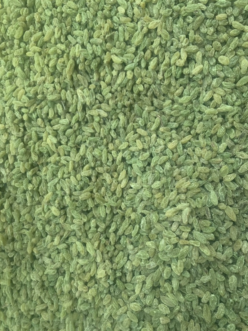 新疆吐鲁番葡萄干，绿无核，绿珍珠，绿宝石葡萄干
