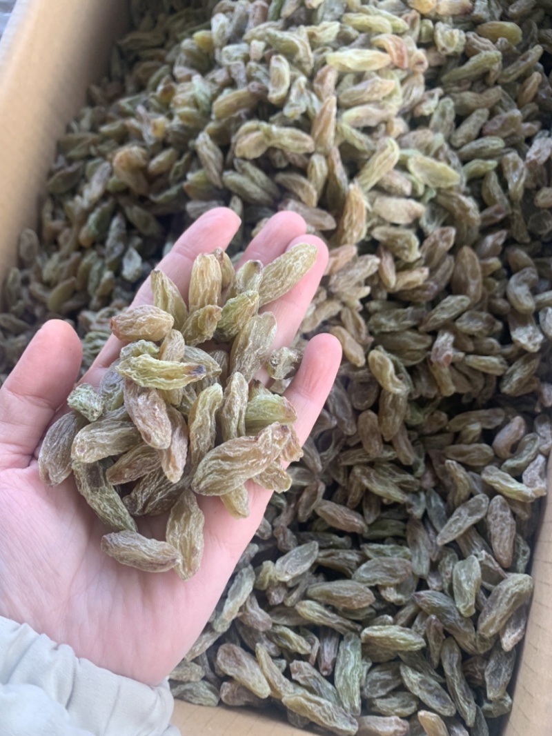 新疆吐鲁番葡萄干，绿无核，绿珍珠，绿宝石葡萄干