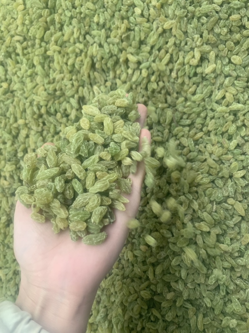 新疆吐鲁番葡萄干，绿无核，绿珍珠，绿宝石葡萄干