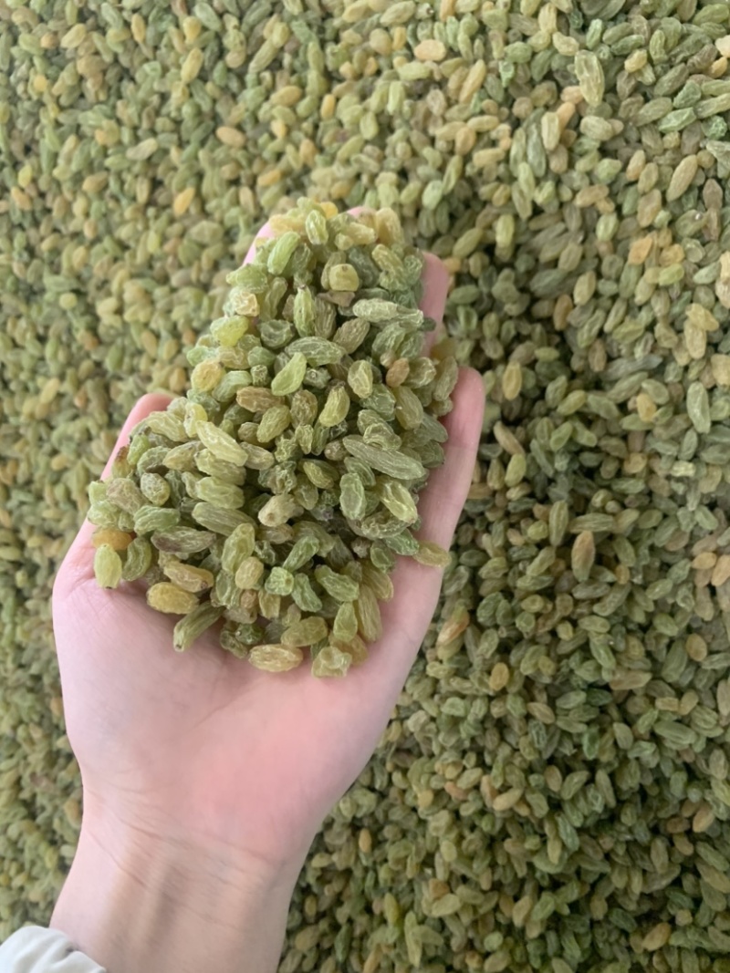 新疆吐鲁番葡萄干，绿无核，绿珍珠，绿宝石葡萄干
