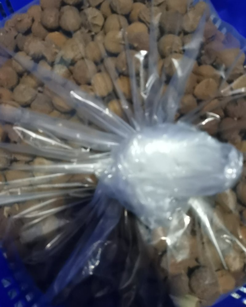 仙进奉荔枝干