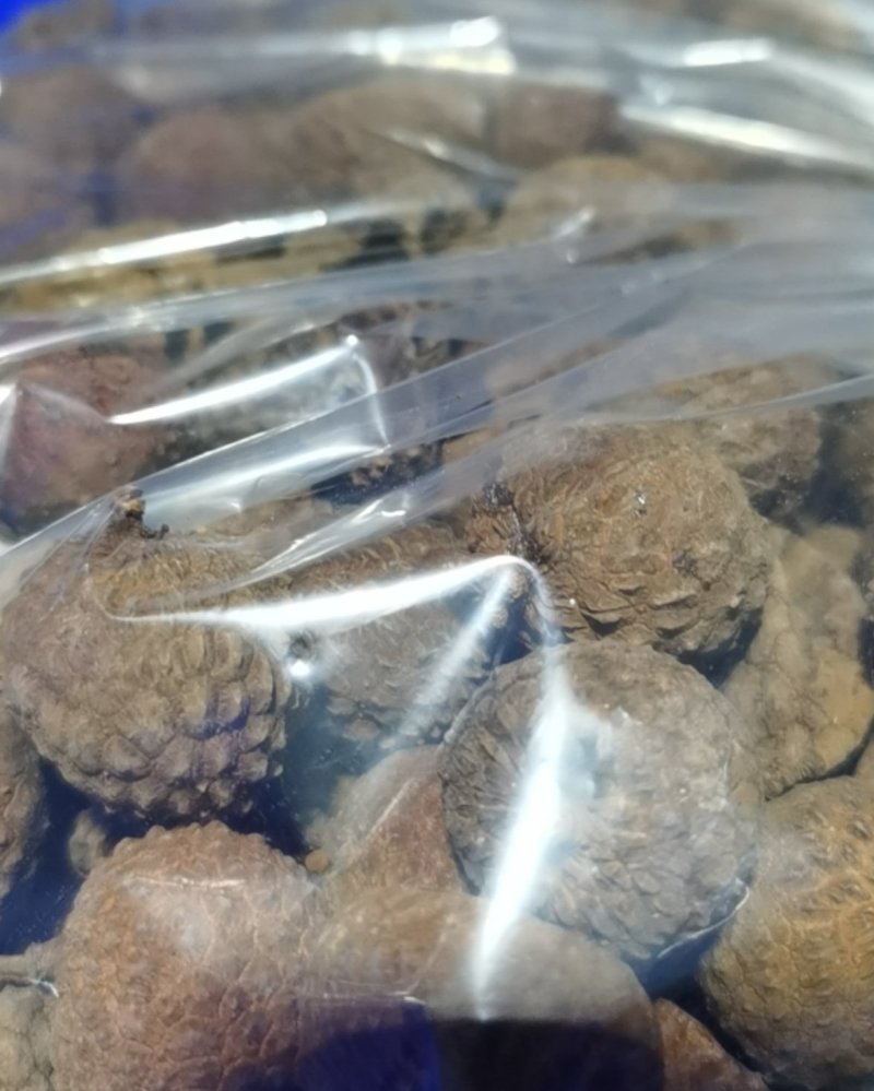 仙进奉荔枝干