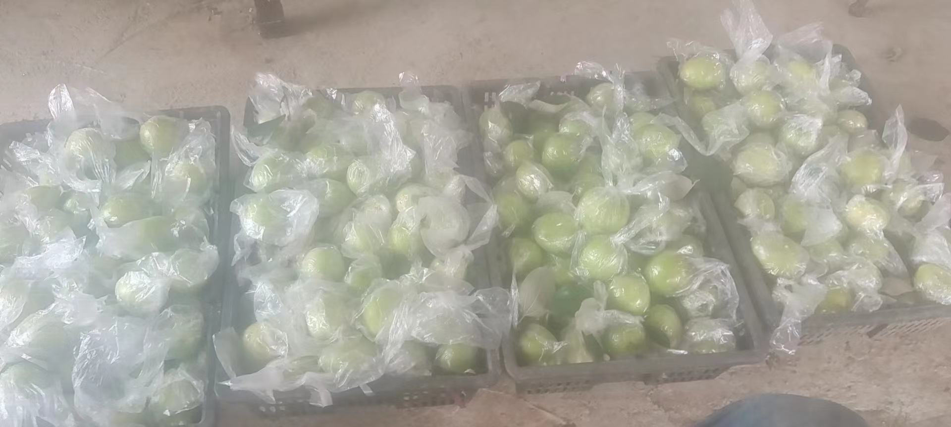 冰箱内存放灰枣的场景图