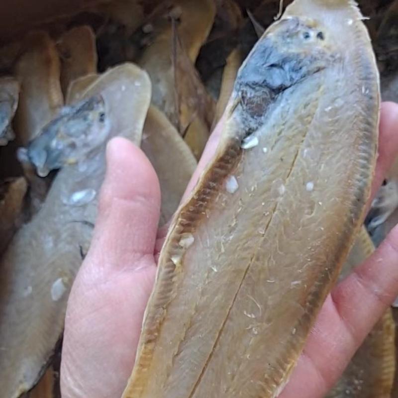 塔米鱼，也叫龙利鱼舌头鱼，腌制咸鱼干！大量现货供应