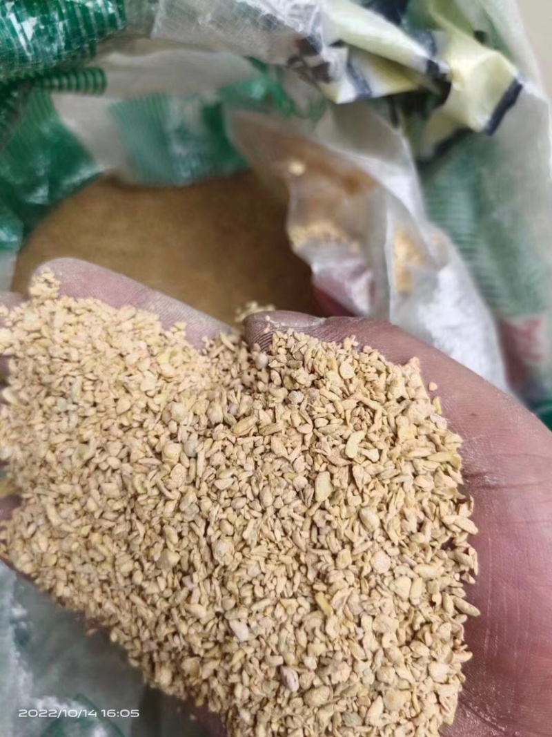 碎玉米一直有货欢迎来考察
