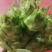 儿菜