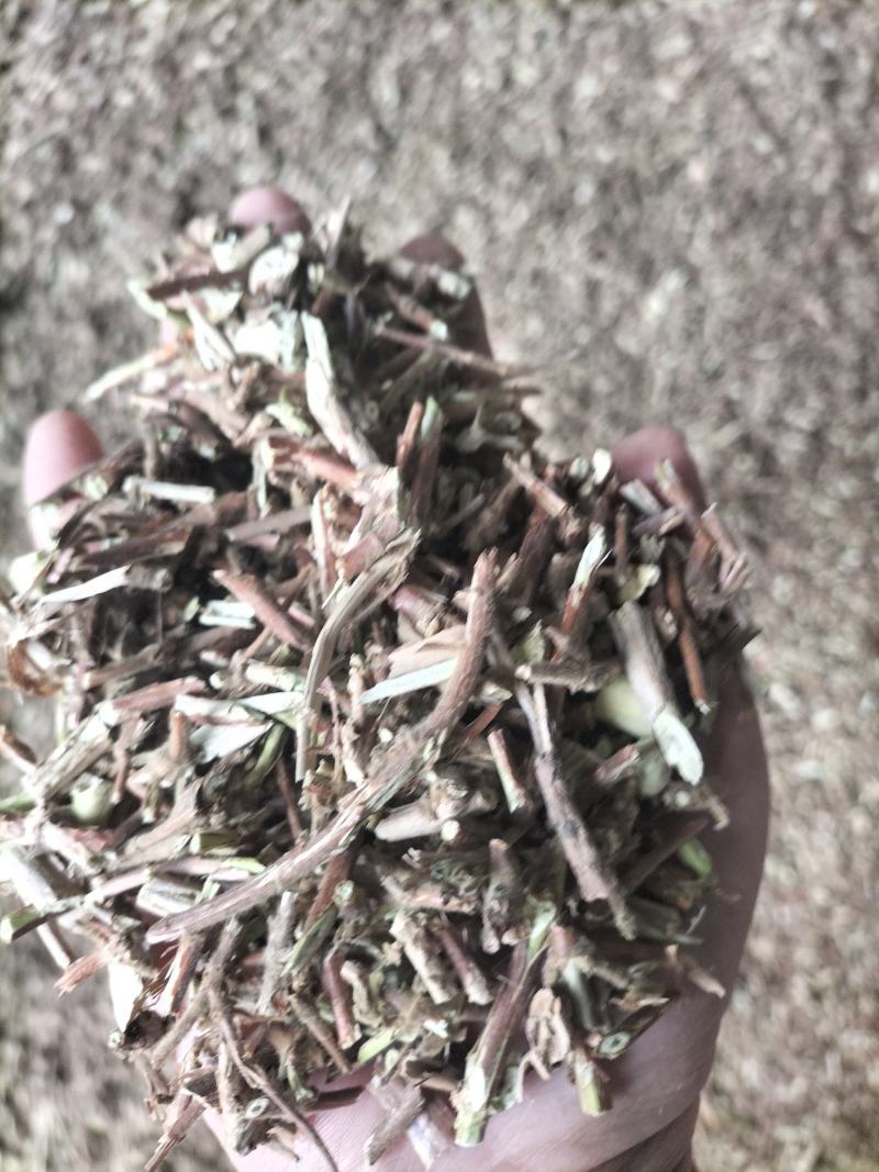 金银花藤条，今年新货，批发零售，厍存2000吨