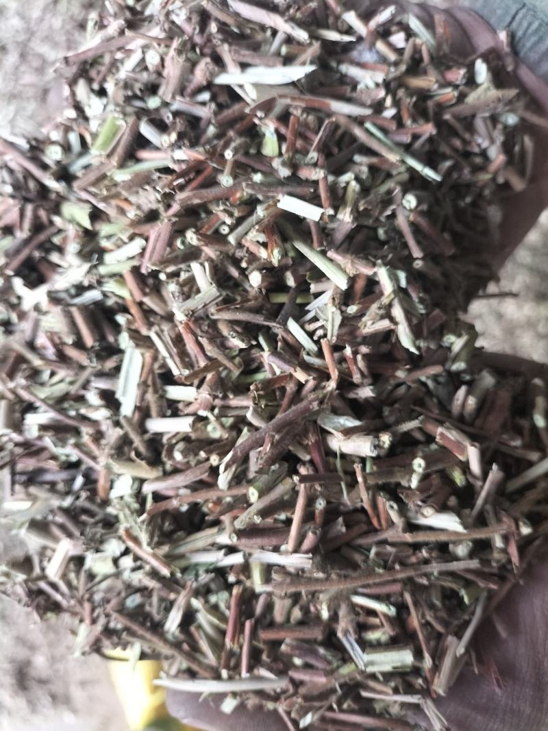 金银花藤条，今年新货，批发零售，厍存2000吨