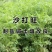 沙打旺种子多年生牧草四季绿肥防沙固土护坡耐寒耐旱