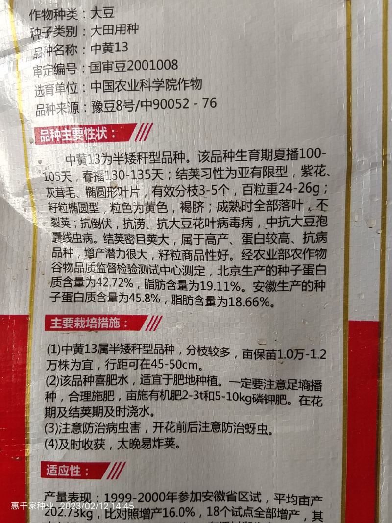 黄豆种子高产早熟黄豆种子抗病抗倒伏大豆种子高产黄豆种籽