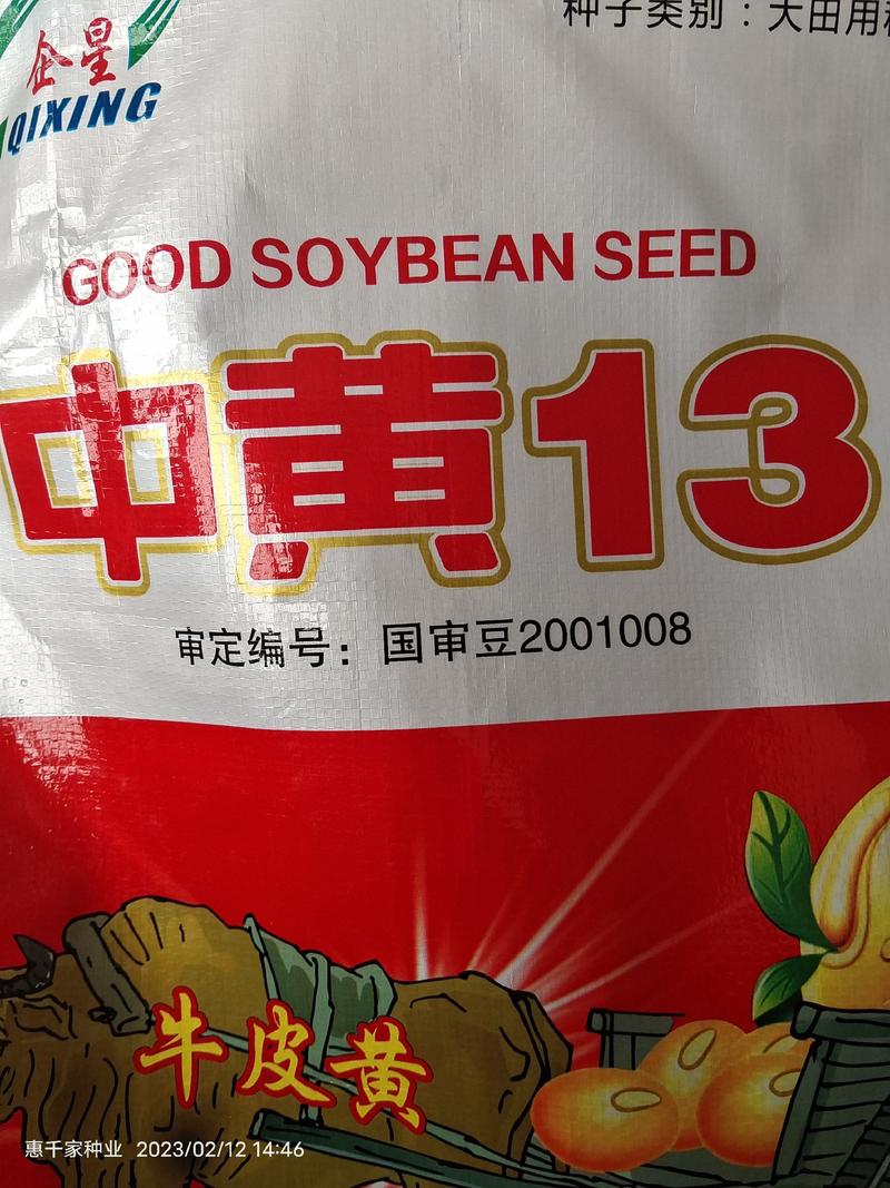 黄豆种子高产早熟黄豆种子抗病抗倒伏大豆种子高产黄豆种籽