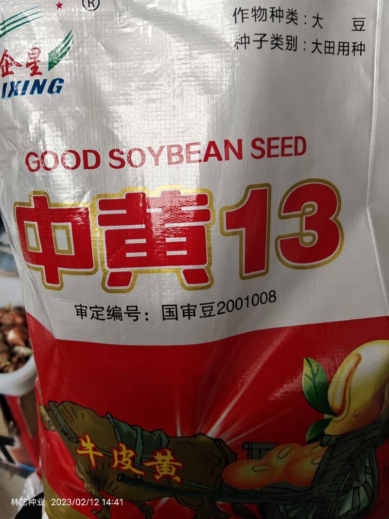 黄豆种子高产早熟黄豆种子抗病抗倒伏大豆种子高产黄豆种籽