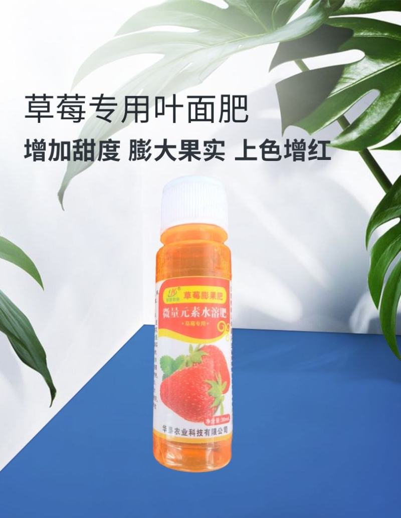 草莓膨果肥草莓膨大素增产催红增甜上色保果叶面肥