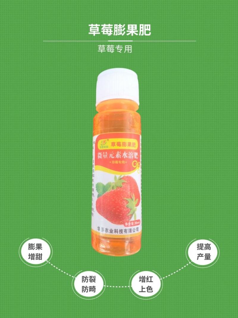 草莓膨果肥草莓膨大素增产催红增甜上色保果叶面肥