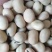 蚕豆大量有货，代收代购，量大从优，产地直发
