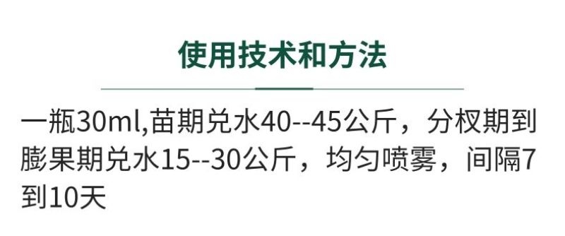 花生分杈下针剂花生高产肥结果多窝窝多粒粒饱开花多下针多