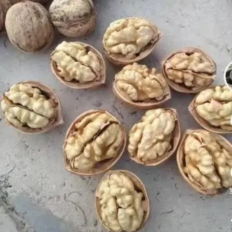 薄皮核桃,又名胡桃、味美多汁、核桃仁营养丰富