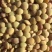 新扁豆大量有货，代收代购，量大从优，产地直发