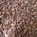 吐鲁番红色葡萄干香甜可口、色泽通透、颗粒长而均匀