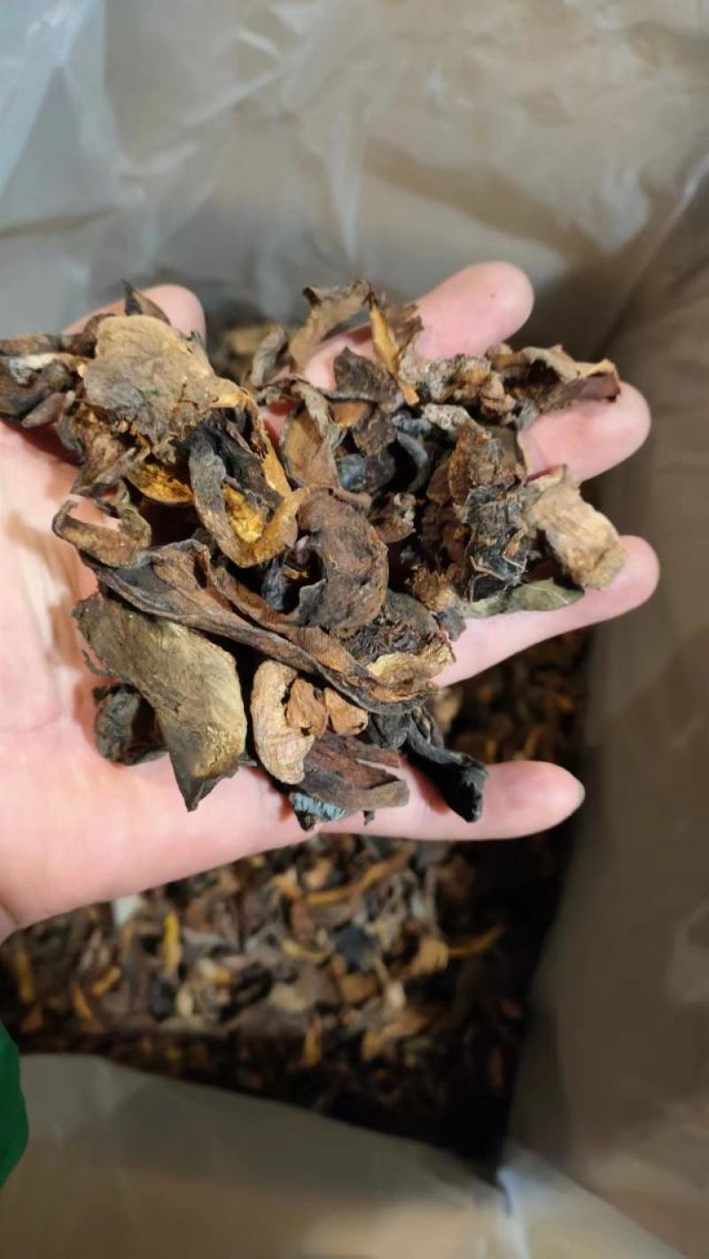 【大减价】云南野生菌黑牛肝菌吊汤货产地直销【不了解勿拍】