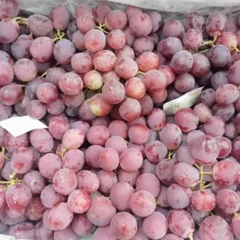 吐鲁番红提葡萄、红提子果粒饱满、果肉酸甜可口