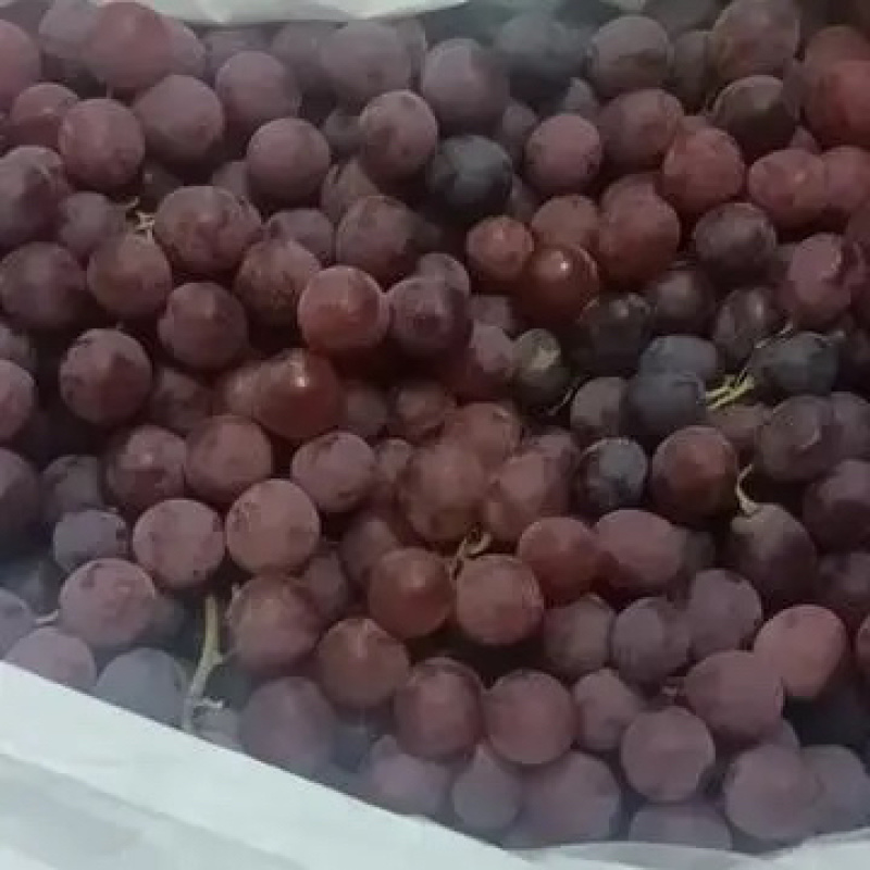 吐鲁番红提葡萄、红提子果粒饱满、果肉酸甜可口