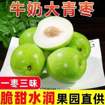 青枣(牛奶青枣，蜜枣)产地大量销售中，甜甜电商社区团对接