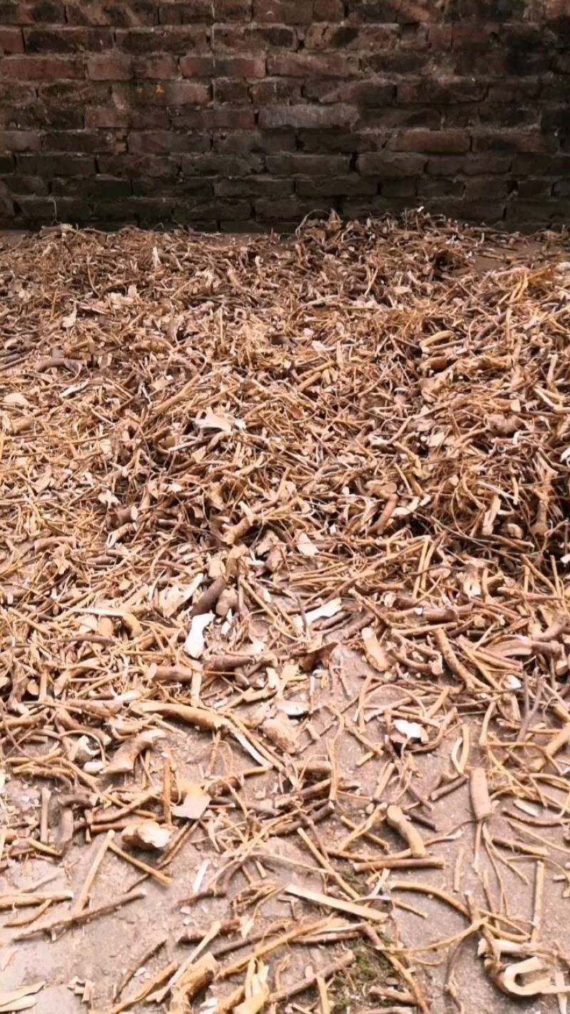 广西野生五指毛桃砍断统货，香味浓郁，日晒足干，无硫