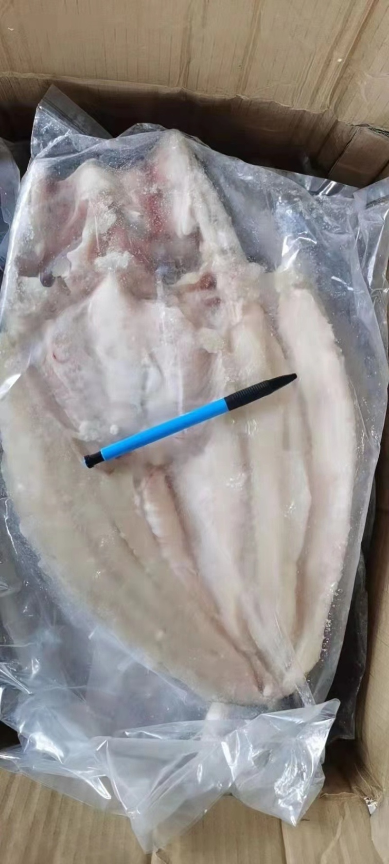 巴沙鱼