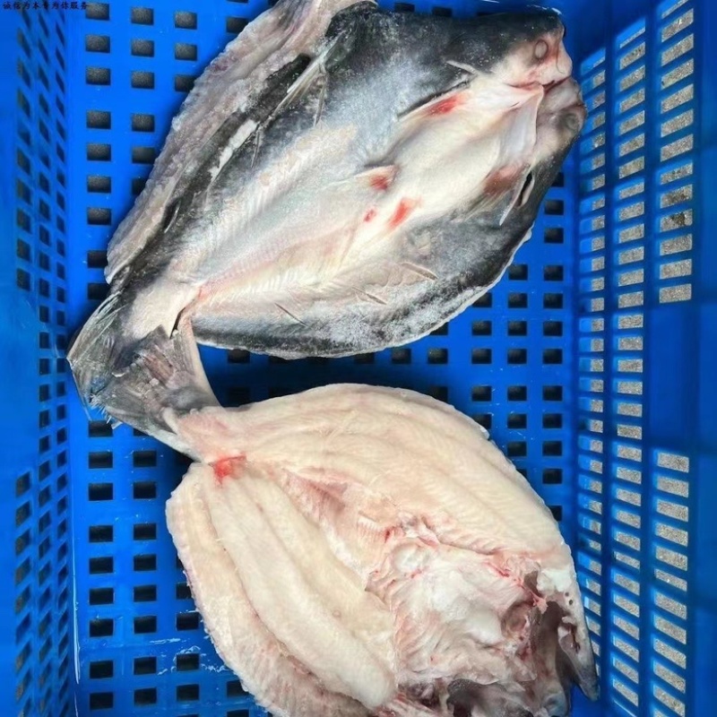 巴沙鱼