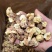 【口感脆嫩】云南姬松茸产地直销一手货源量大价优