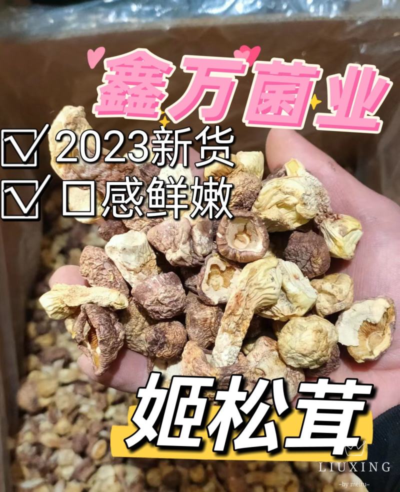 【口感脆嫩】云南姬松茸产地直销一手货源量大价优