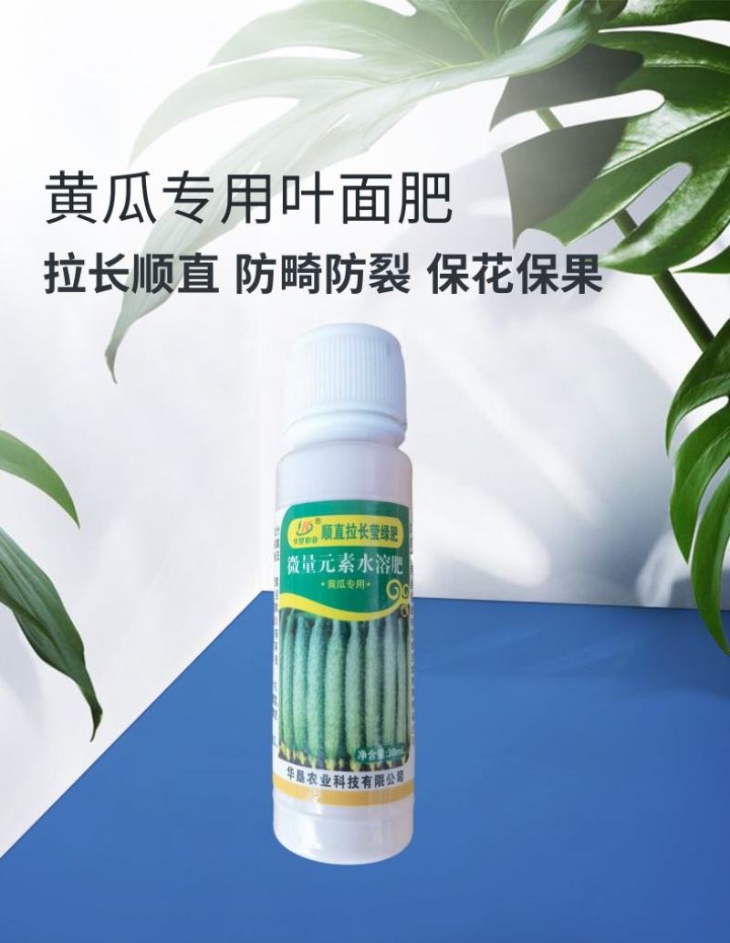 黄瓜顺直拉长莹绿肥黄瓜增产叶面肥膨大素拉直增绿嫩直长