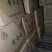 黄金菇个头完整2023年新货产地直销一手货源