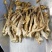 鹿茸菇产地直销一手货源口感脆嫩火锅煲汤专家