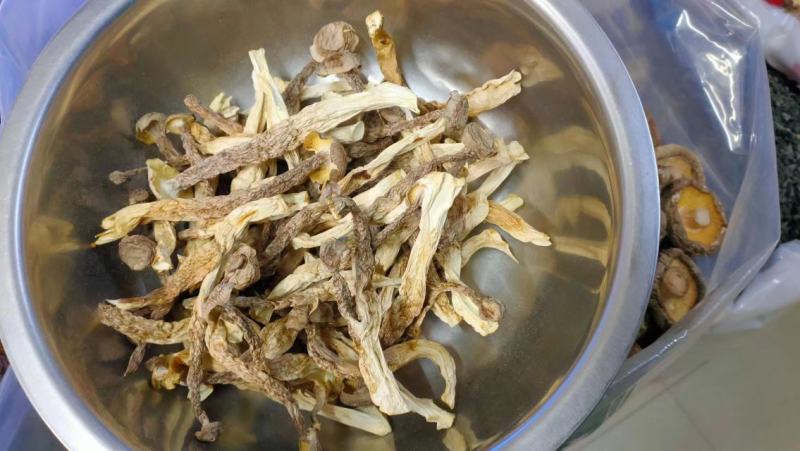 鹿茸菇产地直销一手货源口感脆嫩火锅煲汤专家