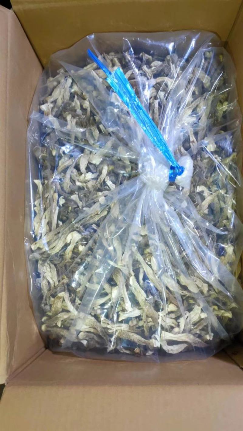 鹿茸菇产地直销一手货源口感脆嫩火锅煲汤专家