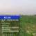大田植保，果树清园，撒肥作业，